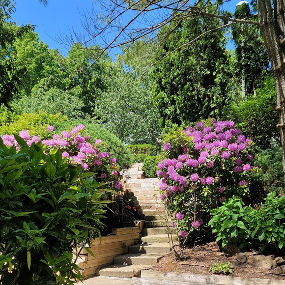 A Welcome to All New Buyers and Grateful Friends - Picture 7 of 17